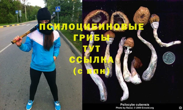 дурь Наволоки