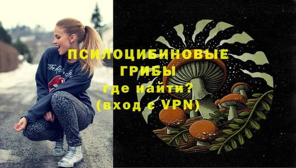 дурь Наволоки